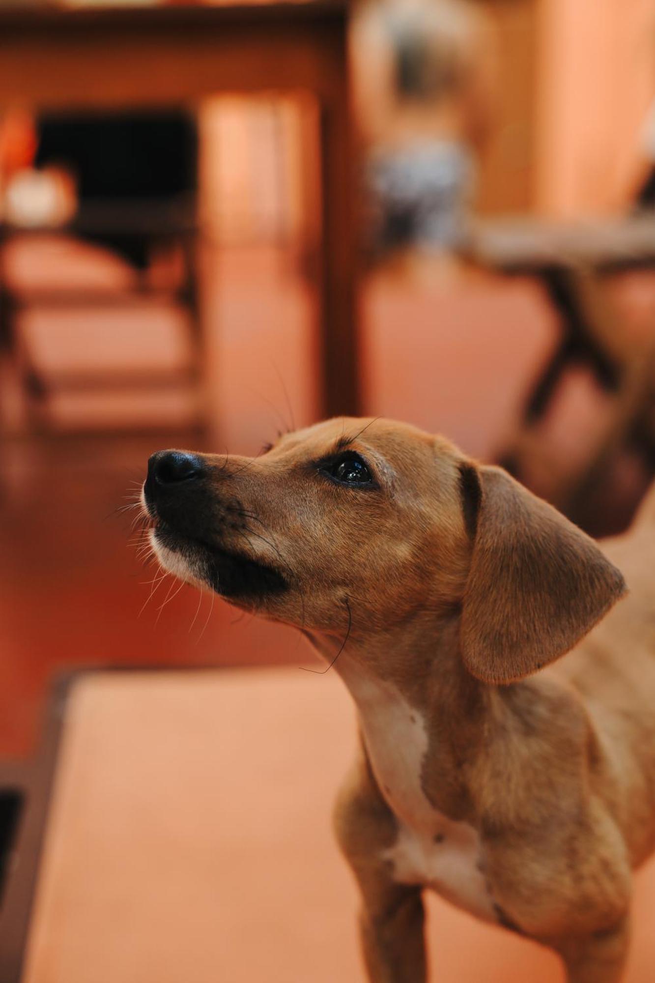 Alena Hostal Valladolid  Ngoại thất bức ảnh